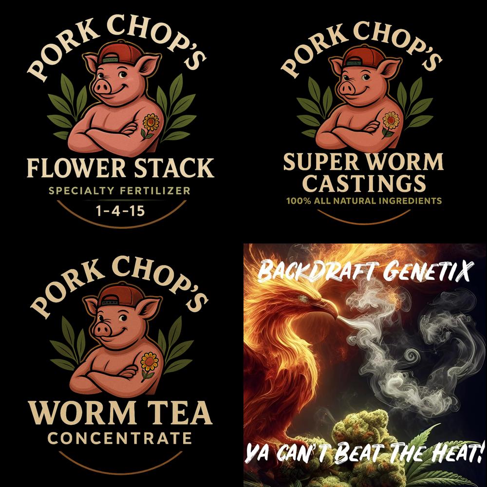 🔥 The Backdraft Combo